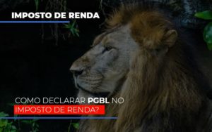 Ir2020:como Declarar Pgbl No Imposto De Renda - Carvalho Contadores