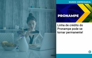 Linha De Credito Do Pronampe Pode Se Tornar Permanente Abrir Empresa Simples - Carvalho Contadores