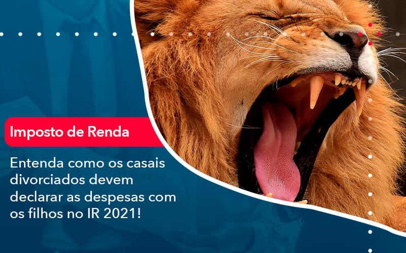 Entenda Como Os Casais Divorciados Devem Declarar As Despesas Com Os Filhos No Ir 2021 1 - Carvalho Contadores