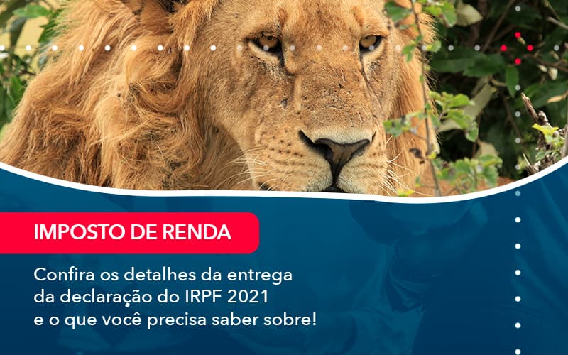 Confira Os Detalhes Da Entrega Da Declaracao Do Irpf 2021 E O Que Voce Precisa Saber Sobre 1 - Carvalho Contadores