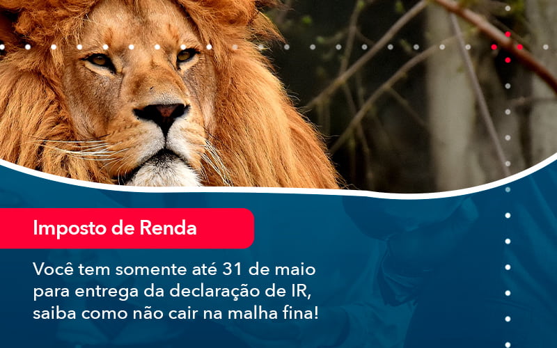 Voce Tem Somente Ate 31 De Maio Para Entrega Da Declaracao De Ir Saiba Como Nao Cair Na Malha Fina 1 - Carvalho Contadores