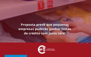 Proposta Prevê Que Pequenas Empresas Poderão Ganhar Linhas De Crédito Com Juros Zero Carvalho Contadores - Carvalho Contadores