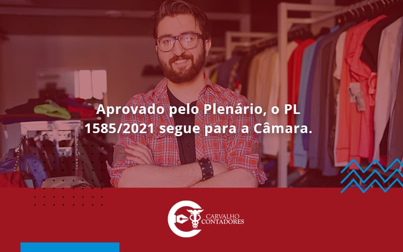 Aprovado Pelo Plenário, O Pl 15852021 Segue Para A Câmara Carvalho Contadores - Carvalho Contadores