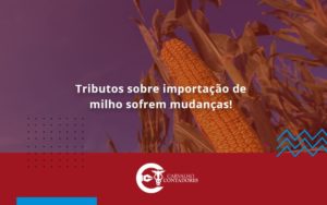 Tributos Sobre Importação De Milho Sofrem Mudanças! Carvalho Contadores - Carvalho Contadores
